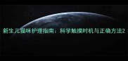 新生儿猫咪护理指南科学触摸时机与正确方法
