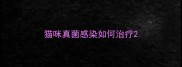 猫咪真菌感染如何治疗