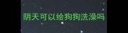 阴天可以给狗狗洗澡吗