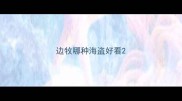 边牧哪种海盗好看