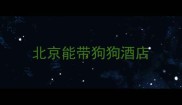 北京能带狗狗酒店