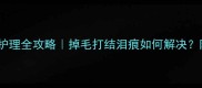 拉布拉多成年毛发护理全攻略掉毛打结泪痕如何解决附详细养护步骤