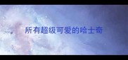 所有超级可爱的哈士奇