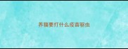 养猫要打什么疫苗驱虫