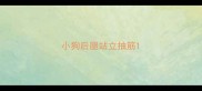 小狗后腿站立抽筋