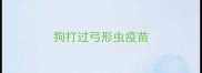 狗打过弓形虫疫苗