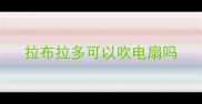 拉布拉多可以吹电扇吗