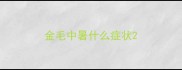 金毛中暑什么症状