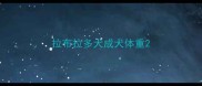 拉布拉多犬成犬体重