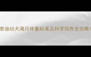 泰迪幼犬满月体重标准及科学饲养全攻略