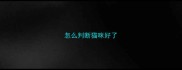 怎么判断猫咪好了