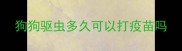 狗狗驱虫多久可以打疫苗吗