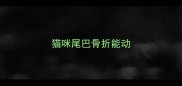 猫咪尾巴骨折能动