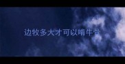 边牧多大才可以啃牛骨
