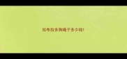 拉布拉多狗绳子多少钱