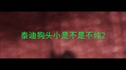泰迪狗头小是不是不纯
