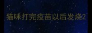 猫咪打完疫苗以后发烧