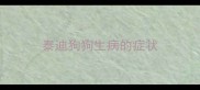 泰迪狗狗生病的症状