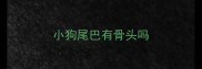 小狗尾巴有骨头吗