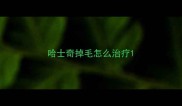 哈士奇掉毛怎么治疗