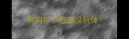 狗狗打了疫苗没抗体