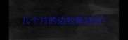 几个月的边牧最好训