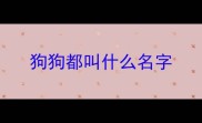 狗狗都叫什么名字