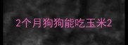 2个月狗狗能吃玉米
