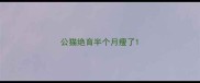公猫绝育半个月瘦了