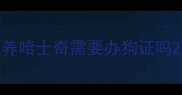 养哈士奇需要办狗证吗