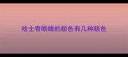 哈士奇眼睛的颜色有几种颜色