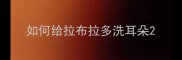 如何给拉布拉多洗耳朵