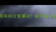 边牧3个月大后喂食频率和注意事项新手家长必看科学喂养指南