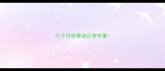 六个月的泰迪正常体重