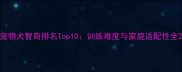 宠物犬智商排名Top10训练难度与家庭适配性全