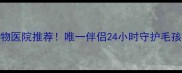 北京靠谱宠物医院推荐唯一伴侣24小时守护毛孩子健康