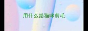 用什么给猫咪剪毛