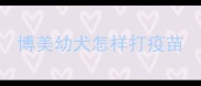 博美幼犬怎样打疫苗