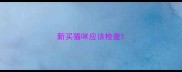 新买猫咪应该检查