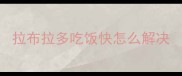 拉布拉多吃饭快怎么解决