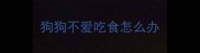 狗狗不爱吃食怎么办