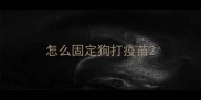 怎么固定狗打疫苗