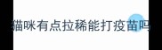 猫咪有点拉稀能打疫苗吗
