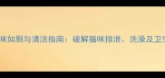 科学养护猫咪如厕与清洁指南破解猫咪排泄洗澡及卫生管理难题