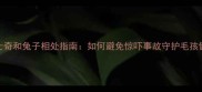 哈士奇和兔子相处指南如何避免惊吓事故守护毛孩健康