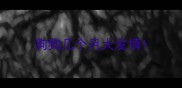 狗狗几个月大发情