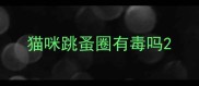 猫咪跳蚤圈有毒吗