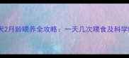 哈士奇幼犬2月龄喂养全攻略一天几次喂食及科学喂养指南