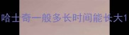 哈士奇一般多长时间能长大