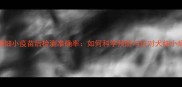 宠物细小疫苗后检测准确率如何科学预防与应对犬细小病毒